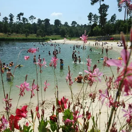 بيت للعطل Lagrange